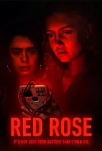 Red-Rose-2022