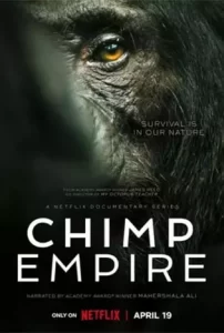 Chimp-Empire-2023