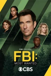 FBI Most Wanted Season 6